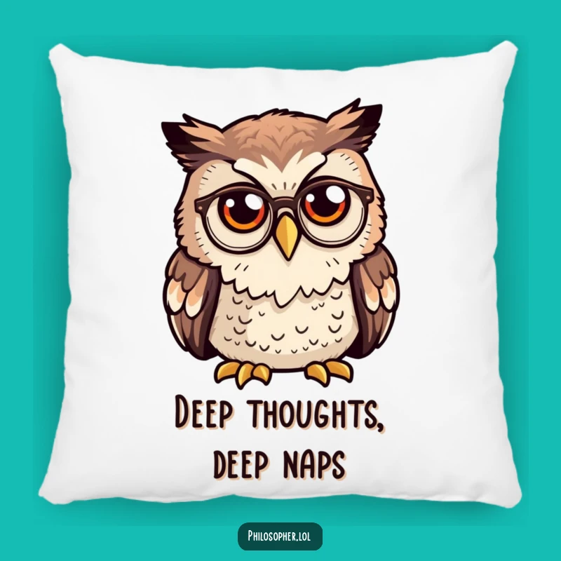 Funny Owl Spectacles Pillow: Cozy Comfort with a Wise Owl, Sweet Funny Gift