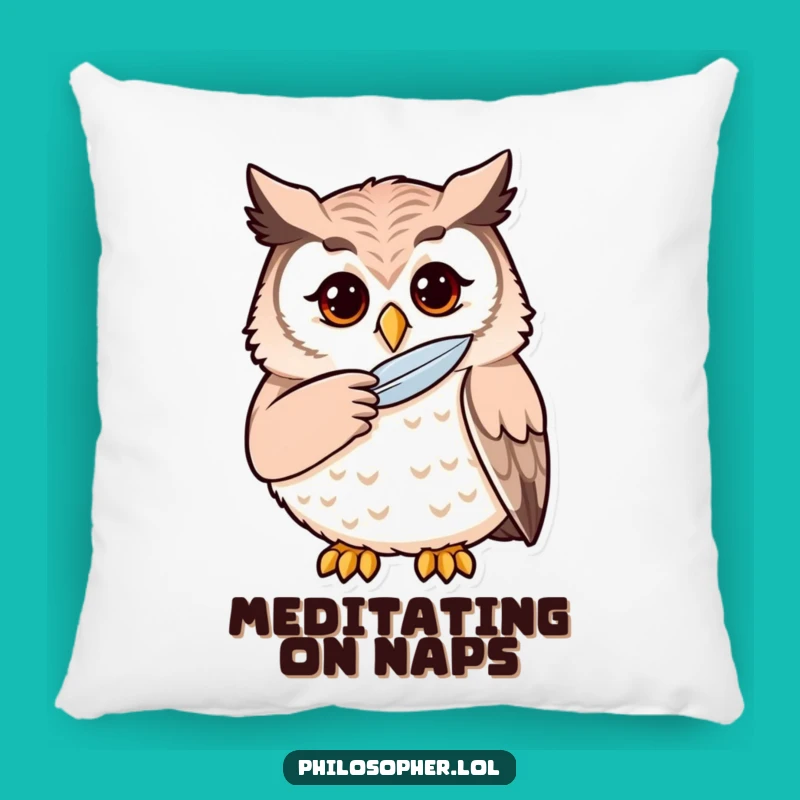 Funny Owl Pillow: Cozy Comfort for Thoughtful Moments