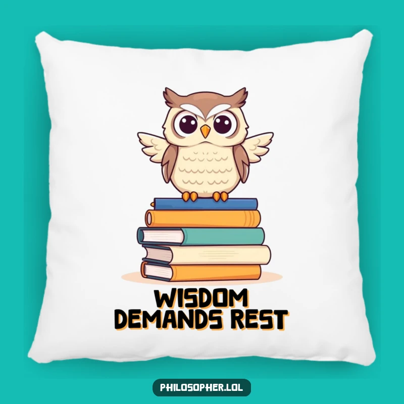 Funny Owl Pillow: Cozy Up with Wisdom from This Proud Book Lover's Hilarious Decor